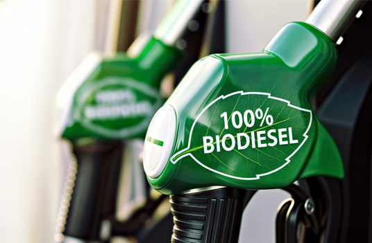 Biodiesel